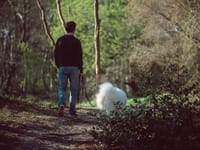 parks-and-walks